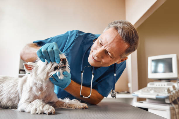 Best Emergency Tooth Extraction in Wilmington Island, GA